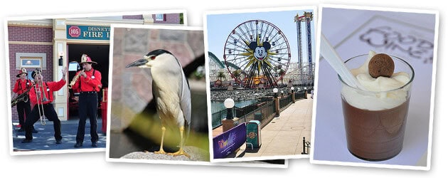 ParkSpotting at Disneyland Resort – May 1, 2010: People Watching and More Munchies