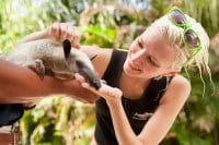 Survivor Villain Courtney Yates meets Discovery Cove's tamandua, Cypress