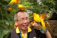 Survivor Yau-Man Chan meets Discovery Cove's sun conures