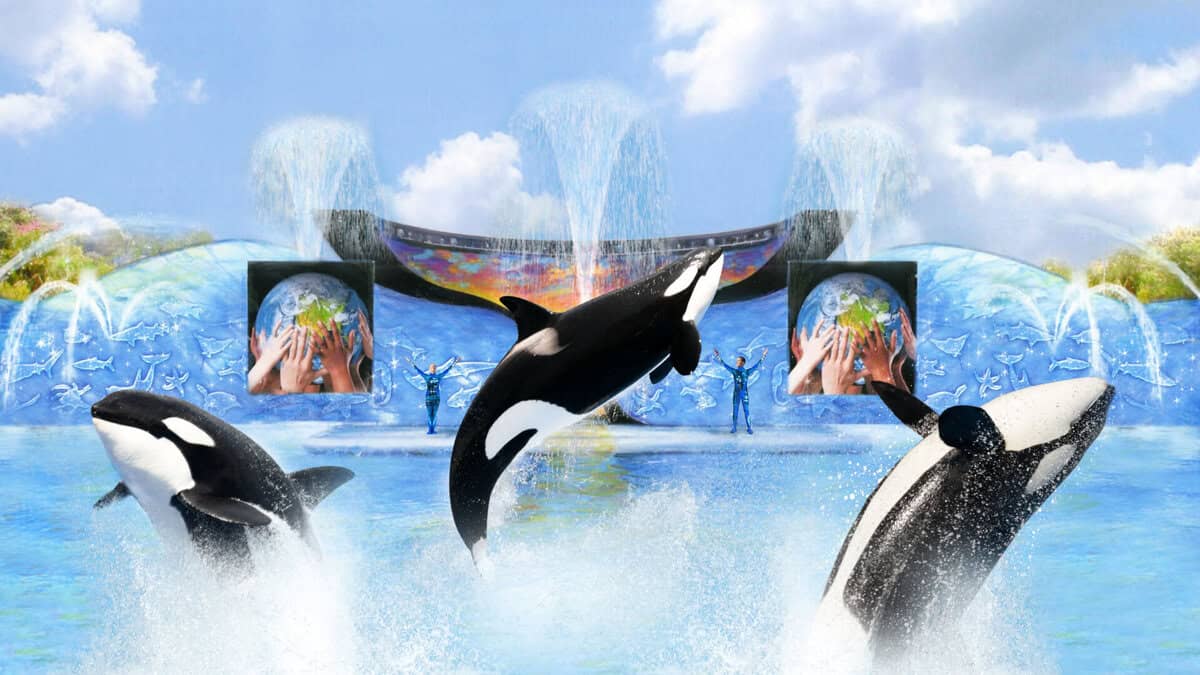 SeaWorld Orlando To Debut New Shamu Killer Whale Show One Ocean In 