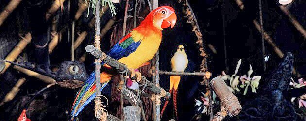 ‘Enchanted Tiki Room’ to reopen on Aug. 15 at Walt Disney World, minus ‘new management’