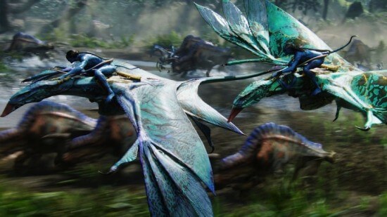 dragons
