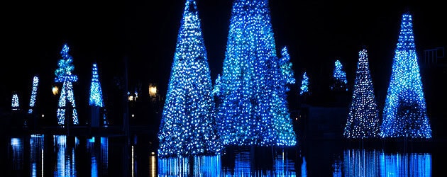 SeaWorld Orlando expands Sea of Trees for Christmas, adds new ‘O Wondrous Night’ show SeaWorld Orlando expands Sea of Trees for Christmas, adds new ‘O Wondrous Night’ show
