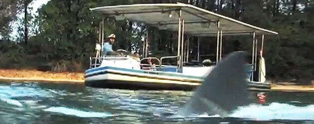Jaws Ride Movie 2: The Amity Island Nightmare, created by former Universal Orlando team members