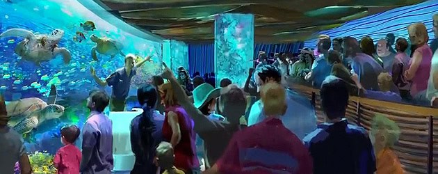 New TurtleTrek artwork, details offered by SeaWorld Orlando webisode for upcoming 3D 360 attraction New TurtleTrek artwork, details offered by SeaWorld Orlando webisode for upcoming 3D 360 attraction