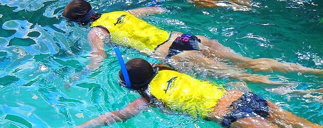 Day at Discovery Cove now includes 14-day unlimited access to SeaWorld Orlando theme park, Aquatica water park Day at Discovery Cove now includes 14-day unlimited access to SeaWorld Orlando theme park, Aquatica water park