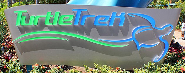 TurtleTrek takes guests virtually under water via new shockingly real 3D film attraction at SeaWorld Orlando
