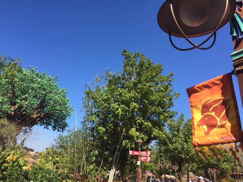 New 'The Lion Guard Adventure' experience kicks off at Disney's Animal