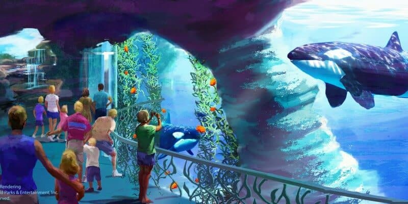 SeaWorld San Diego Officially Cancels Plans For 100 Million Orca Tank 