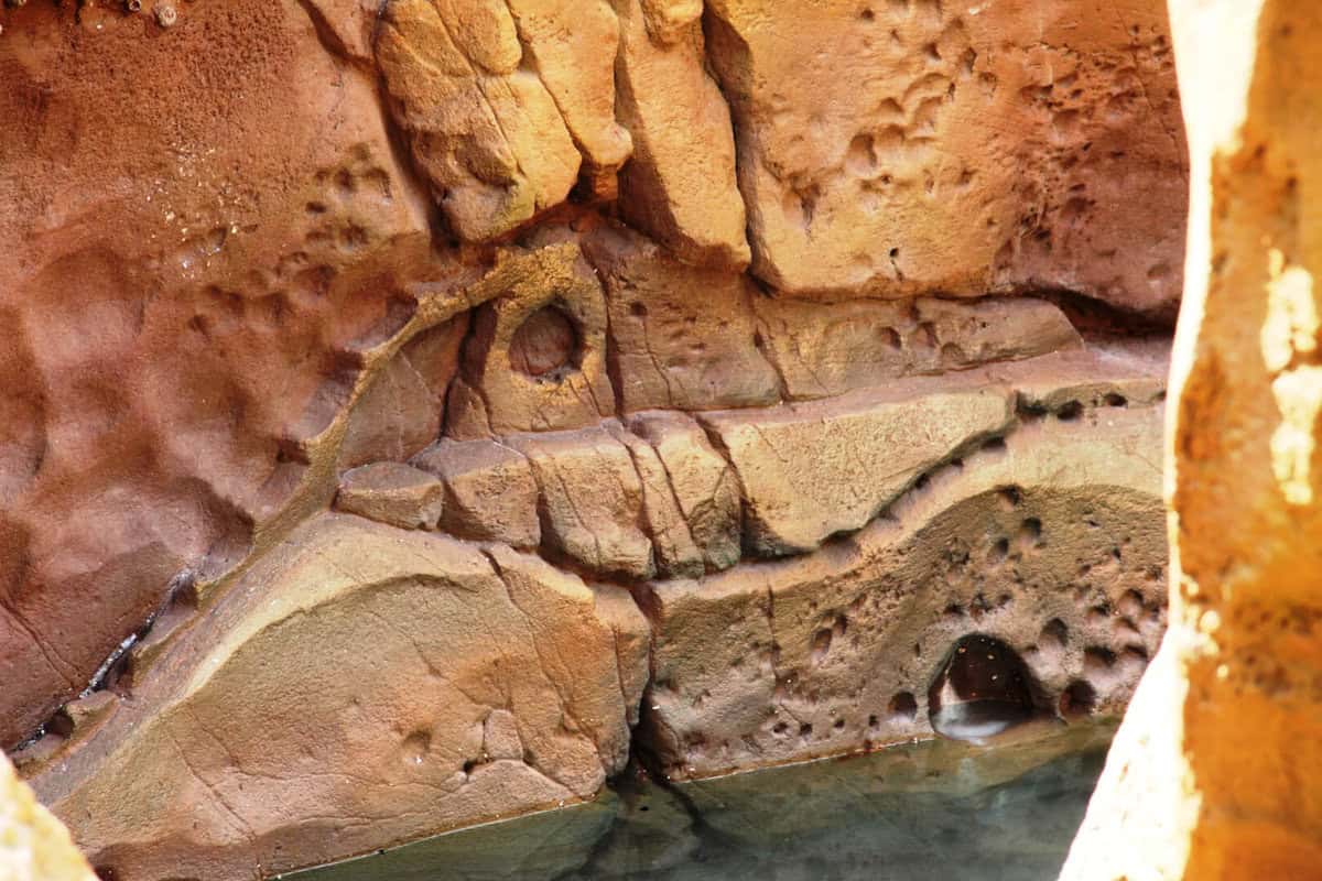 Fav Five: 5 Disney’s Magic Kingdom Attractions We Miss the Most