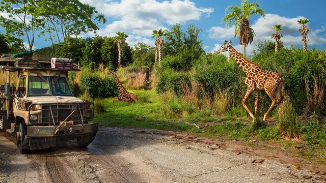 FAV FIVE: Adam's 5 favorite ride moments at Walt Disney World's Animal