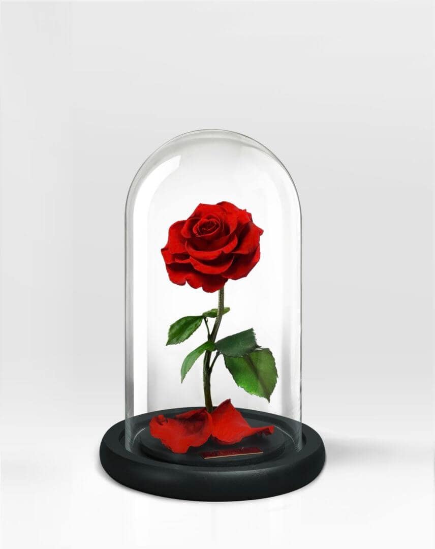Disney Beauty And The Beast Glass Rose Disney Beauty And The Beast Glass Rose