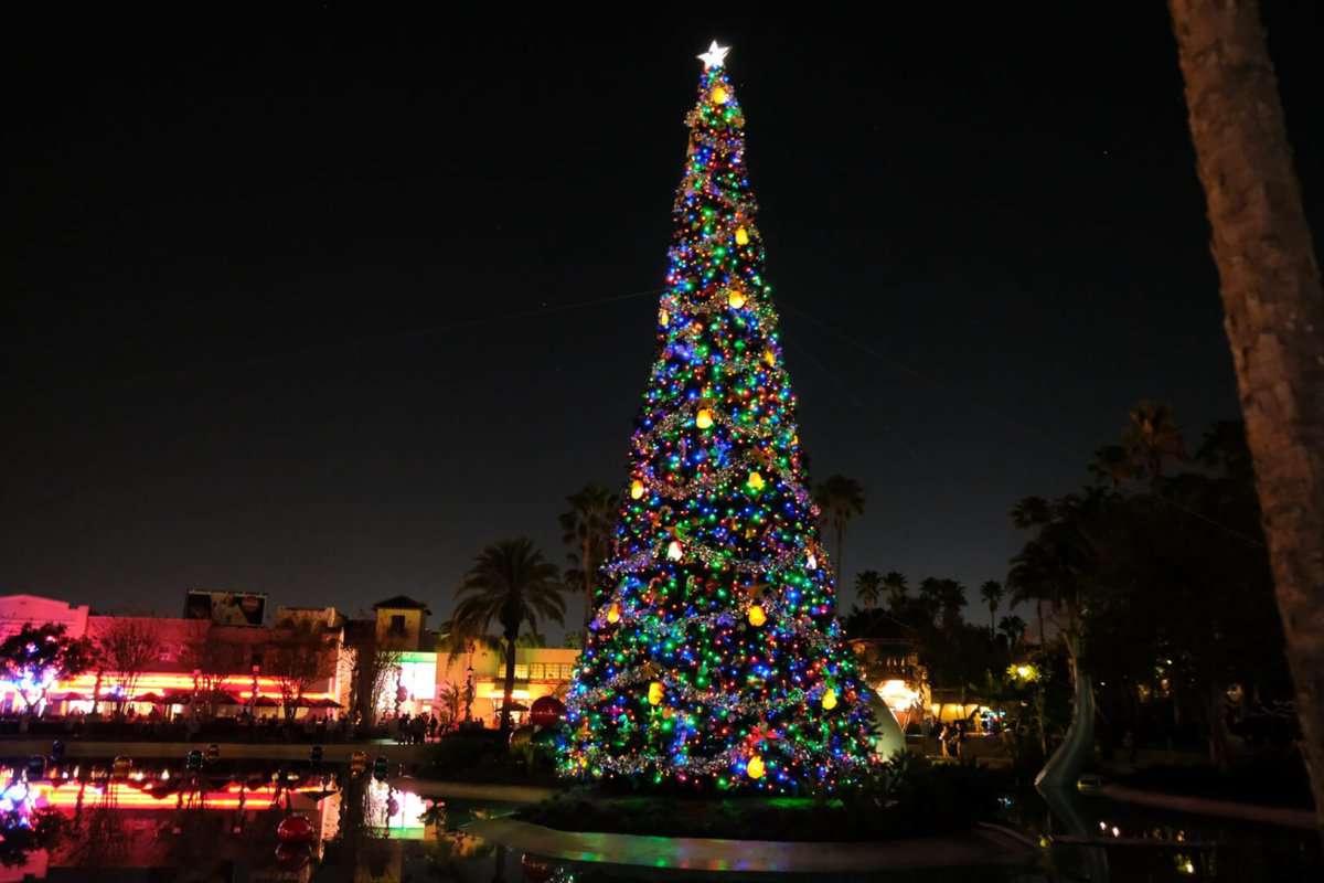 VIDEO: New Christmas Decorations light up Echo Lake at Disney’s