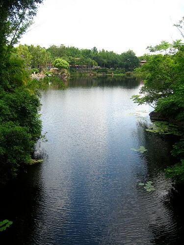 Beautiful water scene