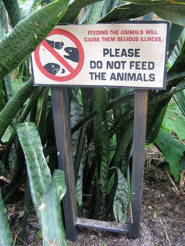 Please do not feed the animals