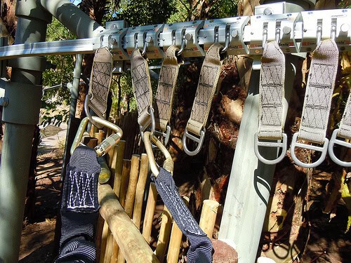 Wild Africa Trek tether system