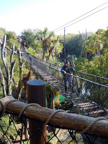 Wild Africa Trek rope bridge