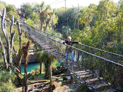 Wild Africa Trek rope bridge