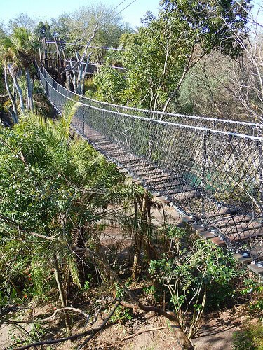 Wild Africa Trek rope bridge