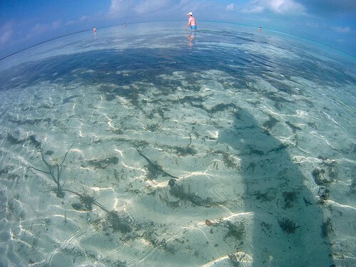 Serenity Bay Water - Castaway Cay