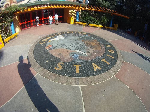 Conservation Station