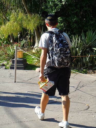 Hidden Mickey guy