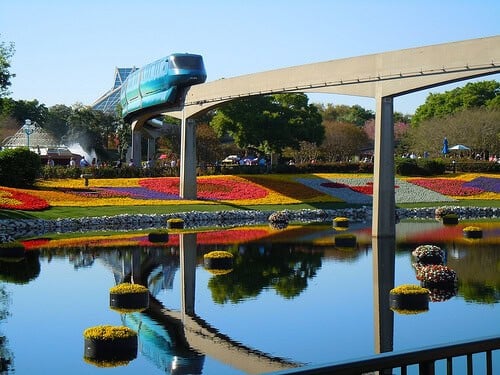 Flower beds and water