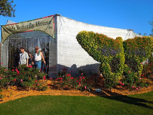 Bambi's Butterfly House