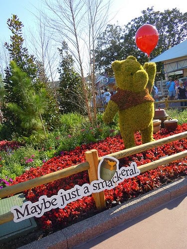 Winnie the Pooh