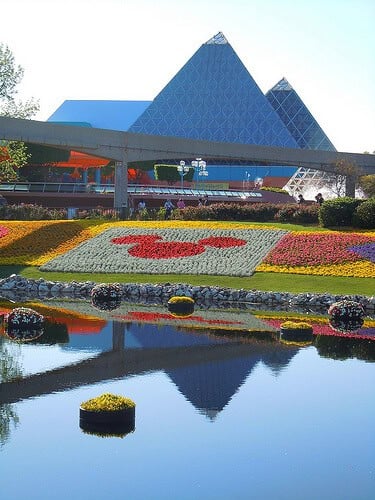 Flower beds and water