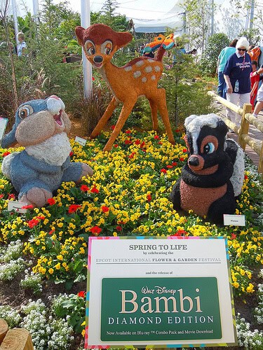 Bambi's Butterfly House