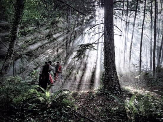 12189701_10153769175818689_3247116851838719852_n