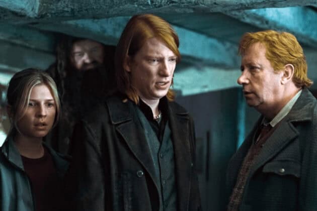 harry-potter-gleeson
