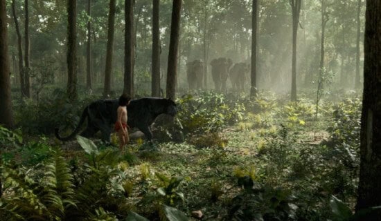 Mowgli Bagera Jungle Book