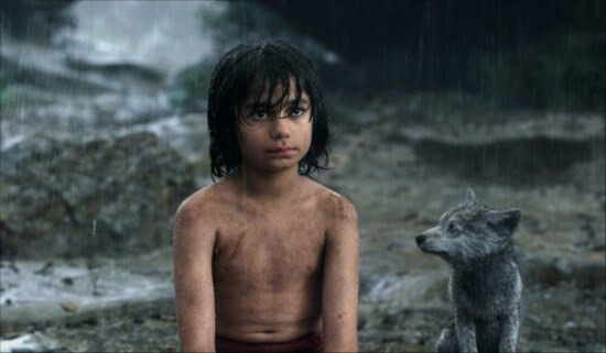 Mowgli Wolf Jungle Book