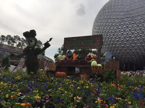 12788019_10153274098495981_1651786013_n