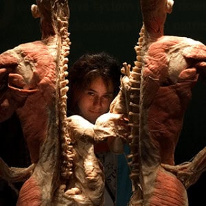 Bodies