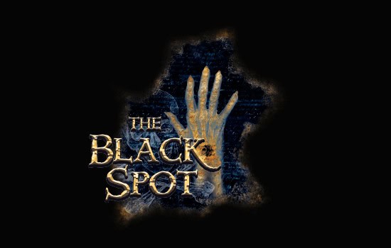 ed4e060faaec4cfb8868b8021182c807_blackspot_550x350