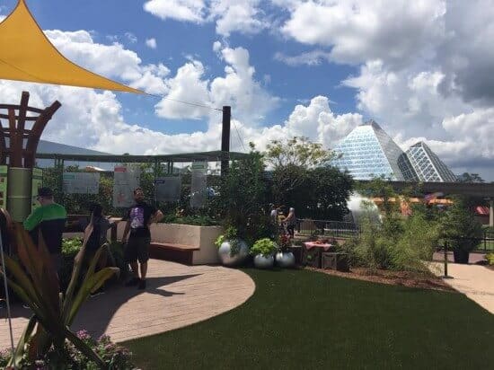 14365365_10153694365700981_1824350980_n