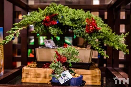 epcot-holiday-highlights-2016-58