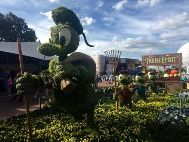 Epcot Flower & Garden 2017