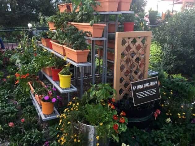 Epcot Flower & Garden 2017