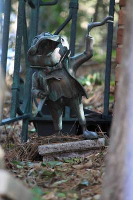 Toad