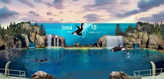 SWSD 2017 Orca Encounter